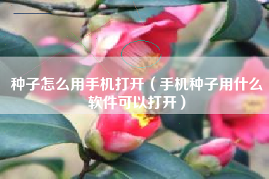 种子怎么用手机打开（手机种子用什么软件可以打开）