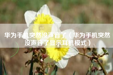 华为手机突然没声音了（华为手机突然没声音了显示耳机模式）