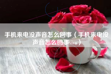 手机来电没声音怎么回事（手机来电没声音怎么回事vivo）