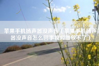 苹果手机扬声器没声音（苹果手机扬声器没声音怎么回事视频播放不了）