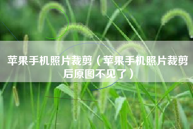 苹果手机照片裁剪（苹果手机照片裁剪后原图不见了）