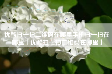 优酷扫一扫二维码在哪里手机扫一扫在哪里「优酷扫一扫二维码在哪里」