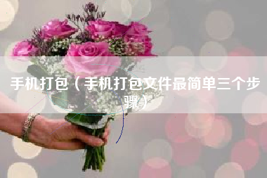 手机打包（手机打包文件最简单三个步骤）