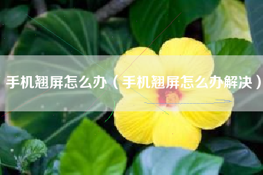 手机翘屏怎么办（手机翘屏怎么办解决）