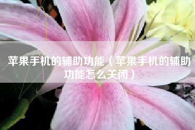 苹果手机的辅助功能（苹果手机的辅助功能怎么关闭）