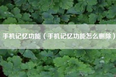 手机记忆功能（手机记忆功能怎么删除）