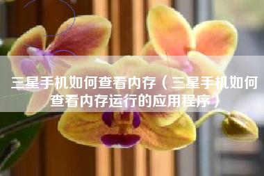 三星手机如何查看内存（三星手机如何查看内存运行的应用程序）