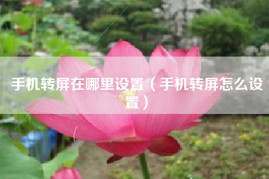 手机转屏在哪里设置（手机转屏怎么设置）