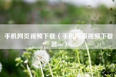 手机网页视频下载（手机网页视频下载器ios）
