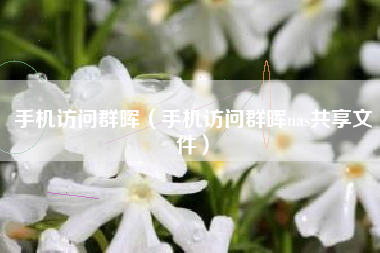手机访问群晖（手机访问群晖nas共享文件）