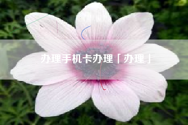 办理手机卡办理「办理」