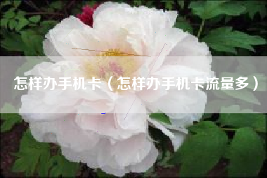 怎样办手机卡（怎样办手机卡流量多）