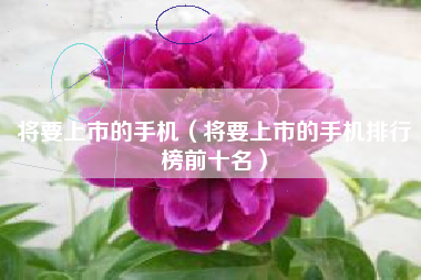 将要上市的手机（将要上市的手机排行榜前十名）