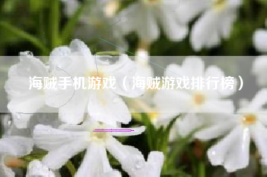 海贼手机游戏（海贼游戏排行榜）