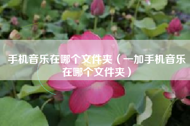 手机音乐在哪个文件夹（一加手机音乐在哪个文件夹）