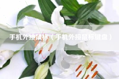手机外接鼠标（手机外接鼠标键盘）