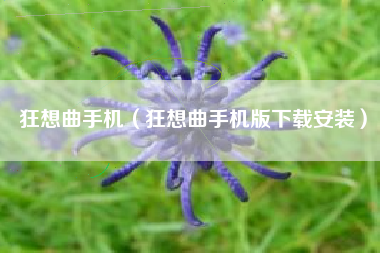 狂想曲手机（狂想曲手机版下载安装）