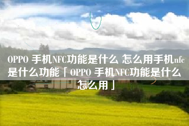 OPPO 手机NFC功能是什么 怎么用手机nfc是什么功能「OPPO 手机NFC功能是什么 怎么用」