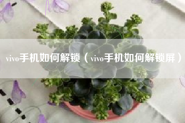 vivo手机如何解锁（vivo手机如何解锁屏）
