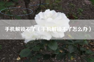 手机解锁不了（手机解锁不了怎么办）