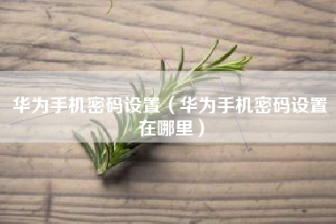 华为手机密码设置（华为手机密码设置在哪里）