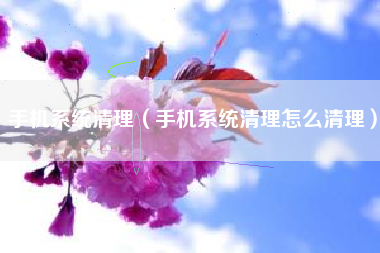 手机系统清理（手机系统清理怎么清理）