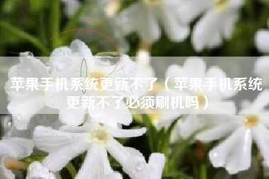 苹果手机系统更新不了（苹果手机系统更新不了必须刷机吗）