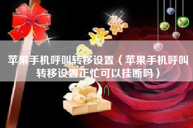 苹果手机呼叫转移设置（苹果手机呼叫转移设置正忙可以挂断吗）