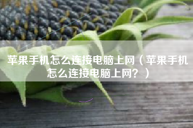 苹果手机怎么连接电脑上网（苹果手机怎么连接电脑上网？）