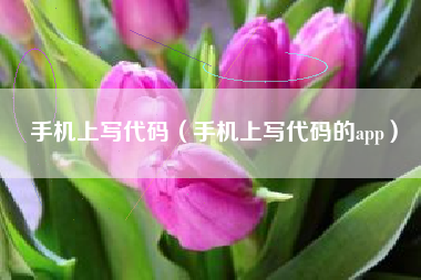 手机上写代码（手机上写代码的app）
