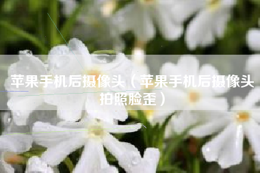 苹果手机后摄像头（苹果手机后摄像头拍照脸歪）