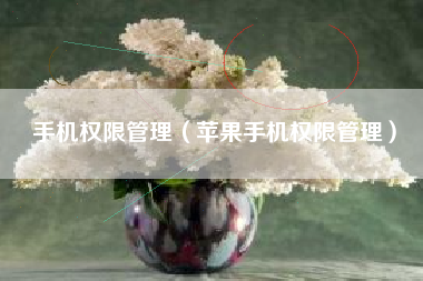 手机权限管理（苹果手机权限管理）
