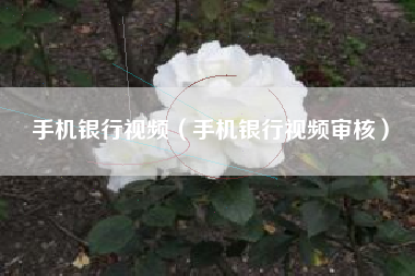 手机银行视频（手机银行视频审核）