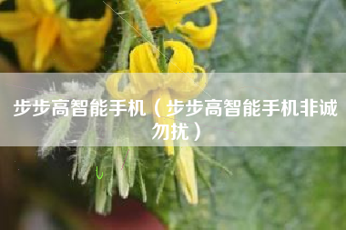 步步高智能手机（步步高智能手机非诚勿扰）