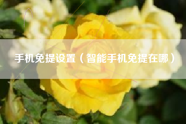 手机免提设置（智能手机免提在哪）