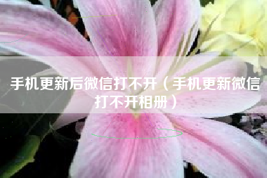 手机更新后微信打不开（手机更新微信打不开相册）