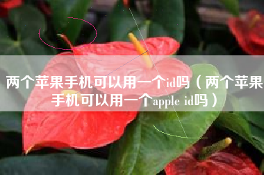 两个苹果手机可以用一个id吗（两个苹果手机可以用一个apple id吗）