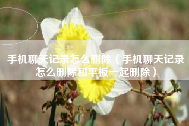 手机聊天记录怎么删除（手机聊天记录怎么删除和平板一起删除）