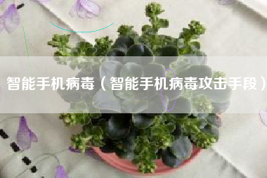 智能手机病毒（智能手机病毒攻击手段）