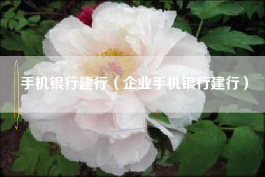 手机银行建行（企业手机银行建行）