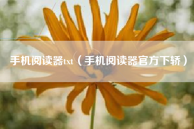 手机阅读器txt（手机阅读器官方下轿）