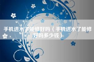 手机进水了能修好吗（手机进水了能修好吗多少钱）