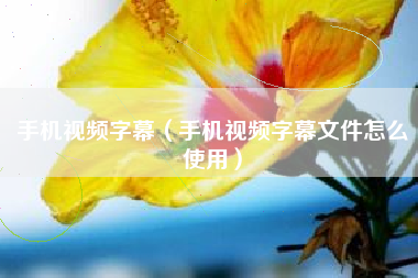 手机视频字幕（手机视频字幕文件怎么使用）