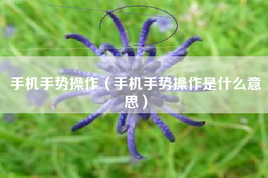 手机手势操作（手机手势操作是什么意思）