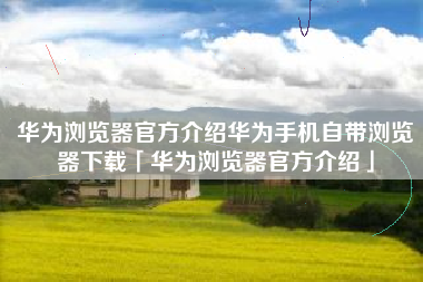 华为浏览器官方介绍华为手机自带浏览器下载「华为浏览器官方介绍」