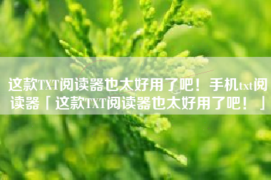 这款TXT阅读器也太好用了吧！手机txt阅读器「这款TXT阅读器也太好用了吧！」