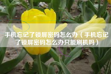 手机忘记了锁屏密码怎么办（手机忘记了锁屏密码怎么办只能刷机吗）