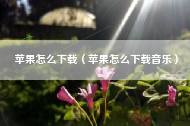 苹果怎么下载（苹果怎么下载音乐）