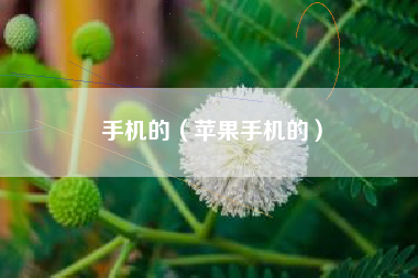 手机的（苹果手机的）