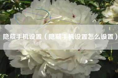 隐藏手机设置（隐藏手机设置怎么设置）